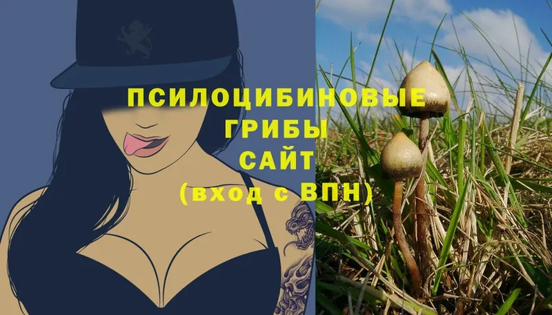 блэк спрут зеркало  даркнет сайт  Рубцовск  Псилоцибиновые грибы мицелий 