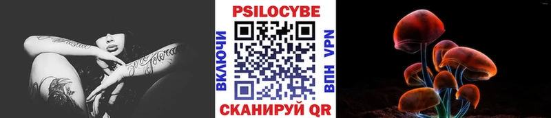 Галлюциногенные грибы Cubensis  блэк спрут ТОР  Рубцовск 
