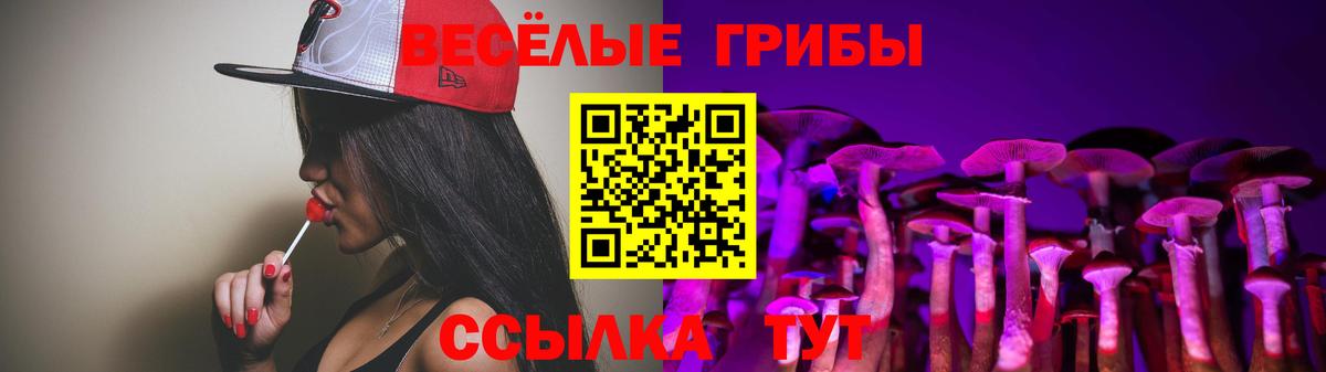 Галлюциногенные грибы Cubensis  Вход с VPN  Рубцовск 